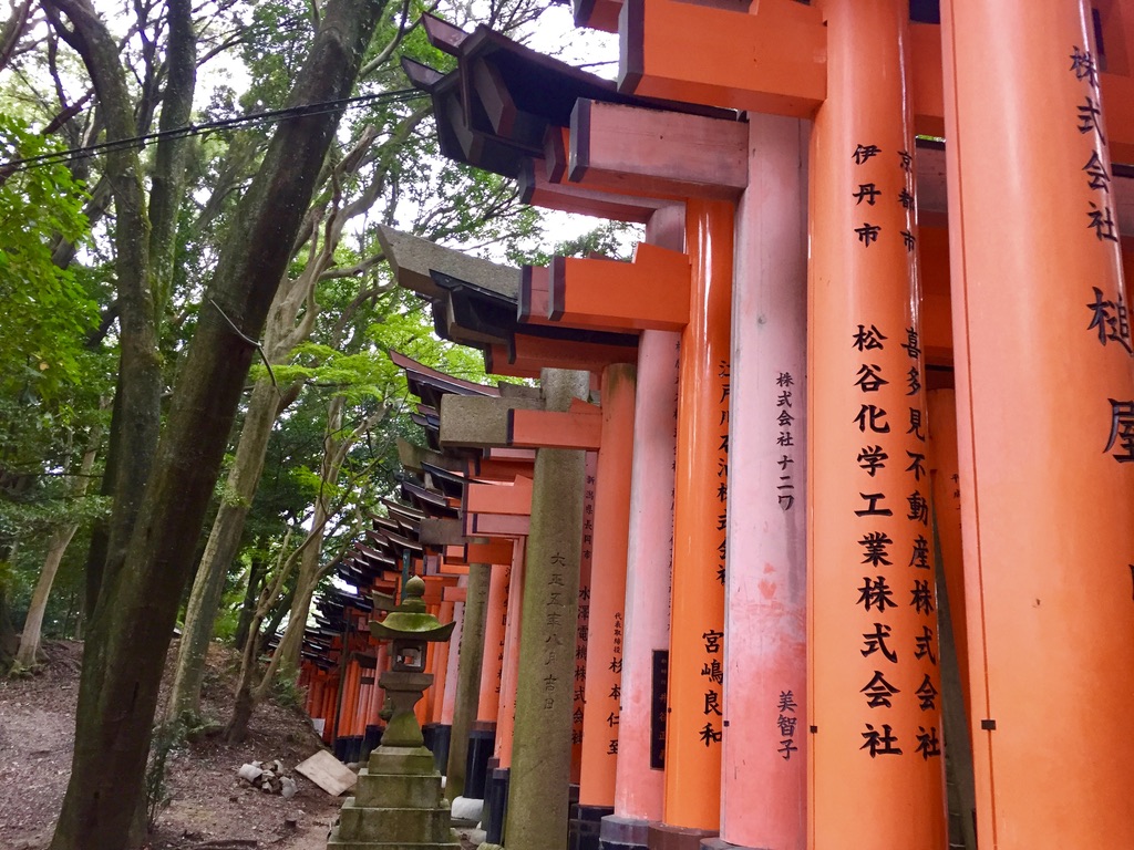 A row of vibrant orange torii gates with black inscriptions line a forested pathway. Tall trees and lush greenery surround the trail, creating a serene and mystical atmosphere. Stone lanterns are situated along the route among the gates.