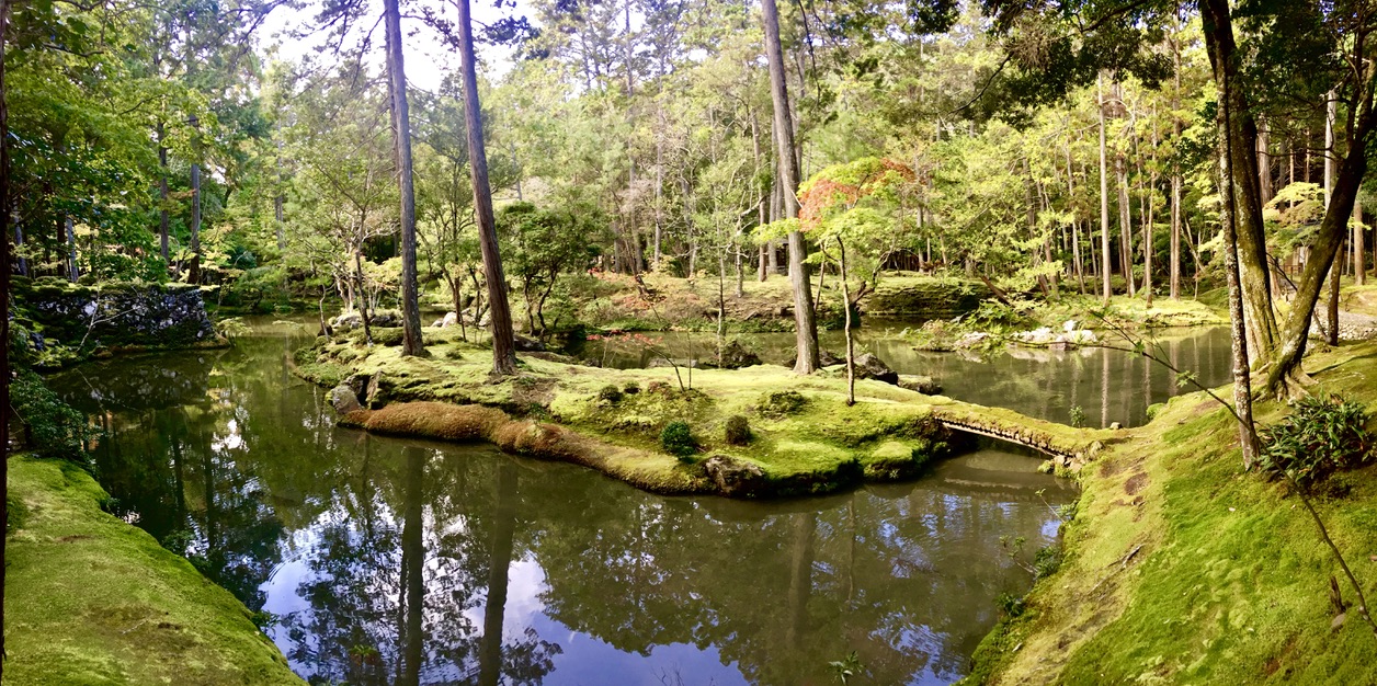 A serene forest scene with a small, moss-covered bridge spanning a reflective pond. The surrounding area is lush with tall trees and dense greenery. Some parts of the pond are bordered by low mossy banks, adding to the tranquil ambiance.