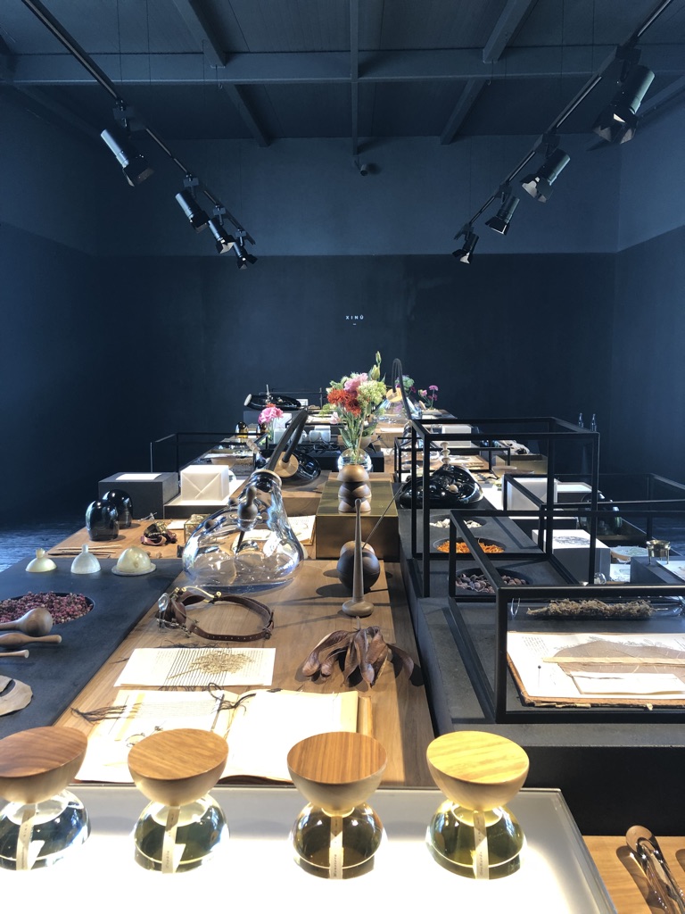 A modern exhibition space with a dark ceiling and walls displays various artifacts and decorative objects on long tables. The items include bowls, vases, shells, and plants, arranged in an orderly fashion under spotlights.