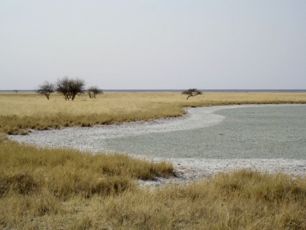 A winding river cuts through a grassy savannah with scattered trees under a cloudy sky.